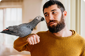 Man in a cozy sweater interacting with a gray parrot on his arm, emphasizing companionship and pet ownership.