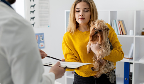 Woman in yellow sweater holding a small dog, receiving a document from a veterinarian, illustrating pet care and the importance of pet insurance coverage.