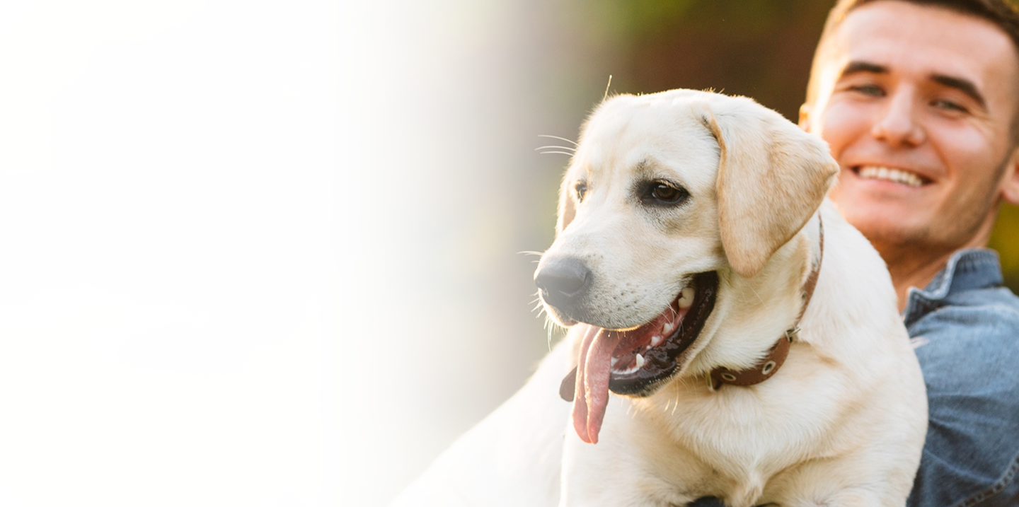 Man smiling while holding a happy yellow Labrador retriever, emphasizing the bond between pet owners and their pets, relevant to affordable pet insurance offerings.