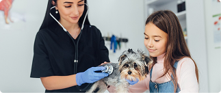 Veterinarian examining a small dog with a young girl observing, highlighting the importance of pet care and insurance coverage.